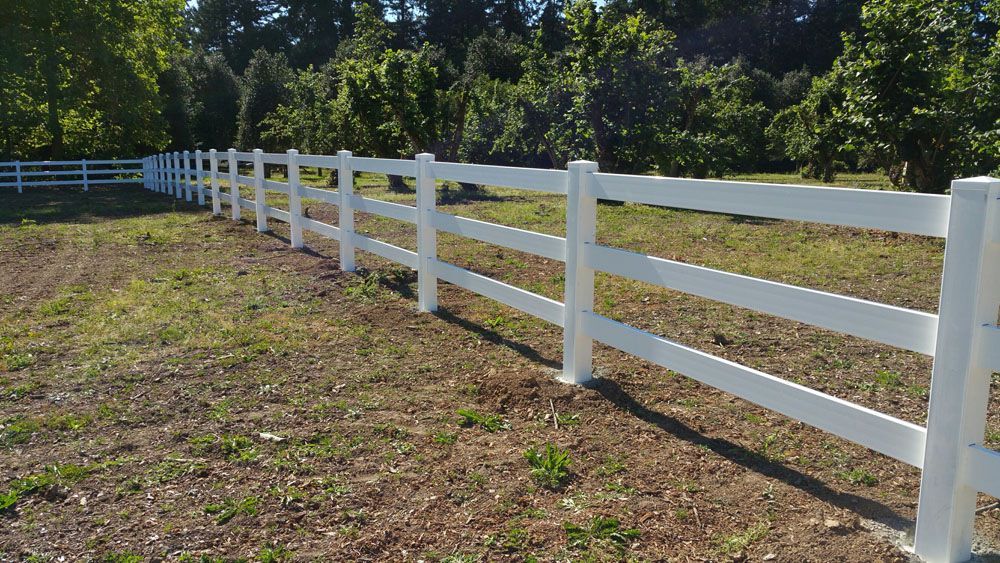 A white fence surrounds a grassy field with trees in the background