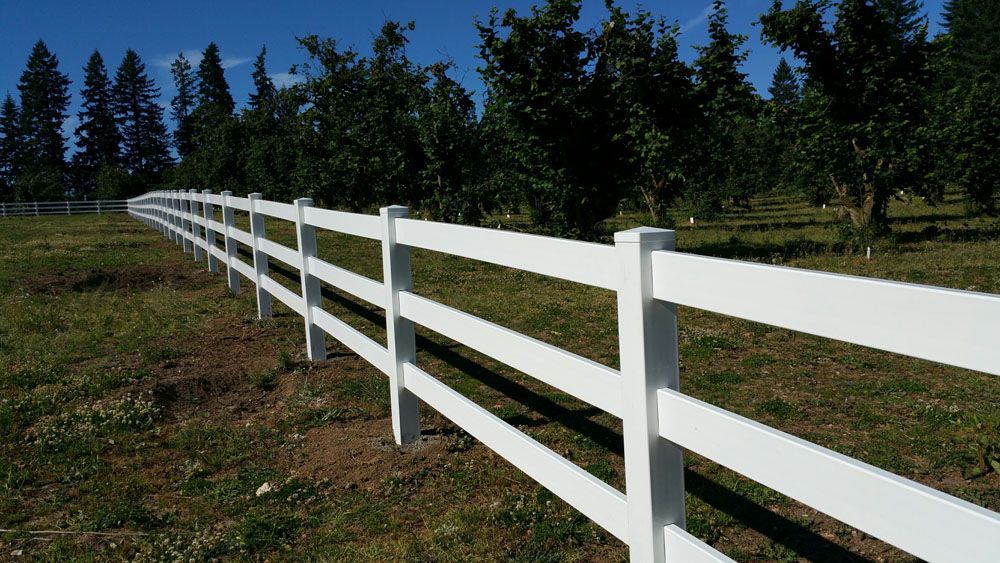 A white fence surrounds a grassy field with trees in the background