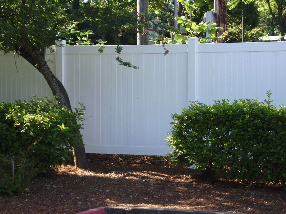 A white fence is surrounded by bushes and trees