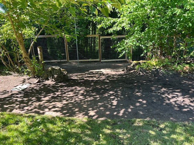 A fence is surrounded by trees and grass in a backyard