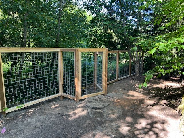 A wooden fence is surrounded by trees in a backyard