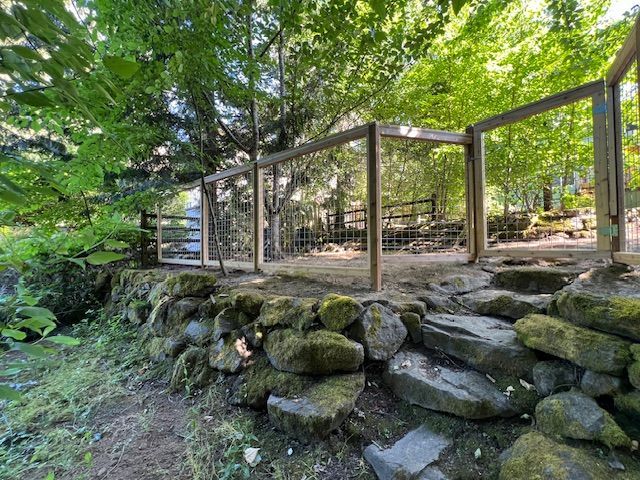 A stone wall with a wooden fence surrounding it in the woods