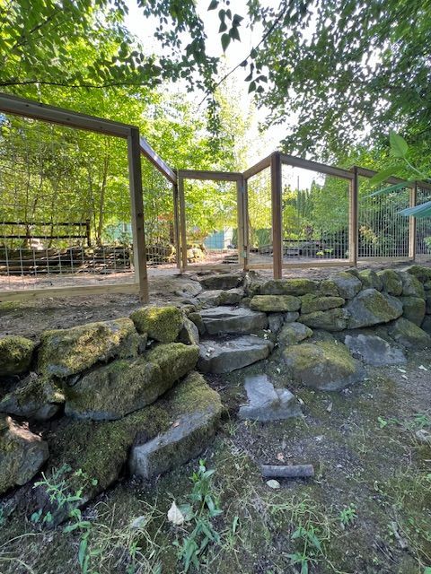 A stone wall with stairs leading up to a wooden fence in the woods