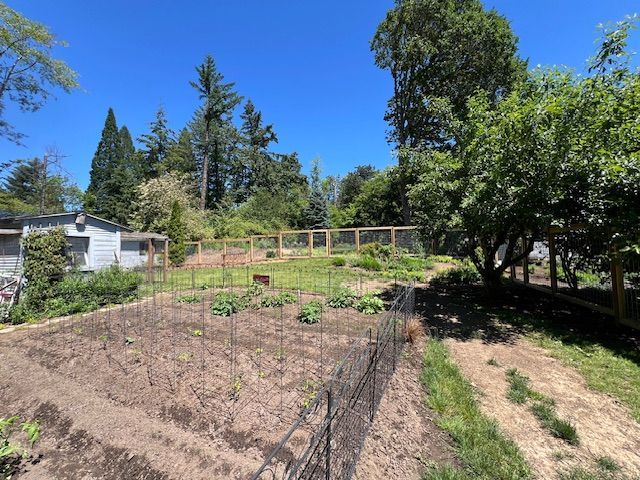 A garden with a fence and trees in the background on a sunny day
