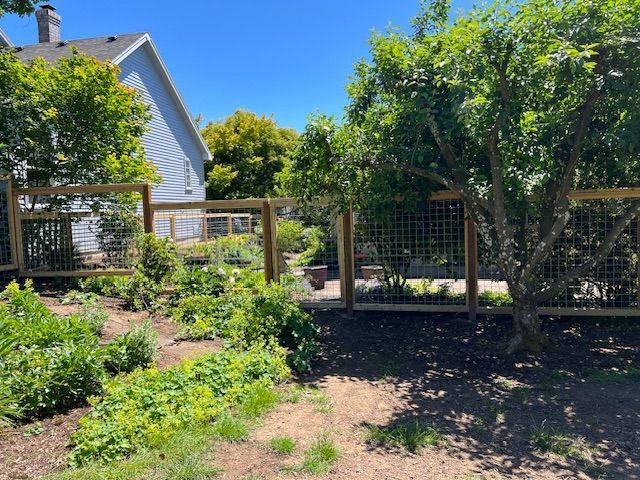 A wooden fence surrounds a garden in front of a house