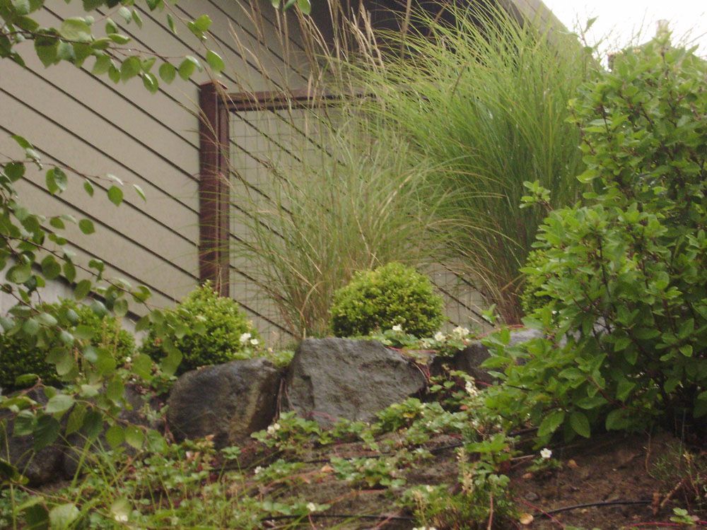 A house with a lot of plants and rocks in front of it