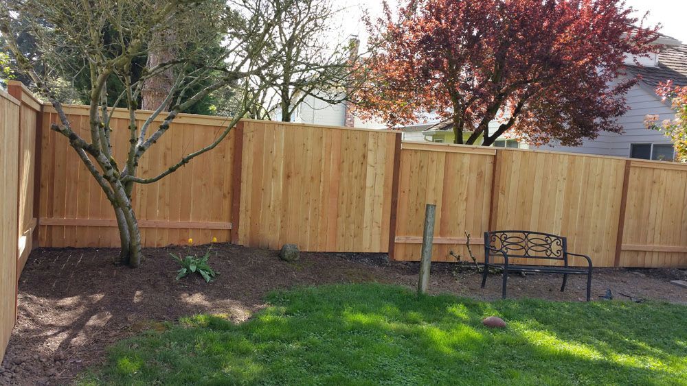 A wooden fence in a backyard with a bench and a tree