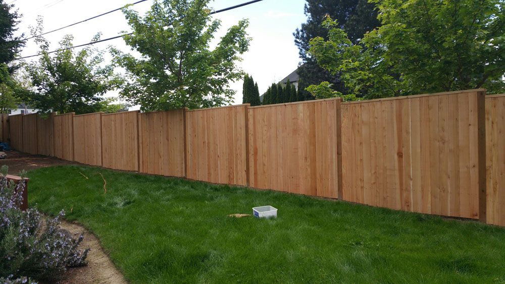 A wooden fence surrounds a lush green lawn in a backyard