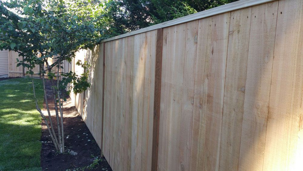 A wooden fence is surrounded by trees and grass in a backyard.