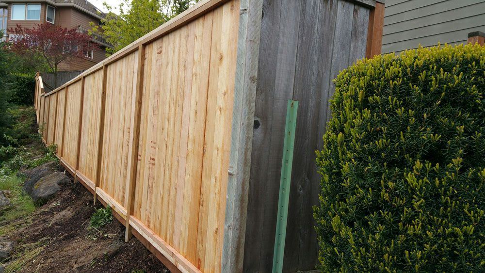 A wooden fence is surrounded by bushes and a house