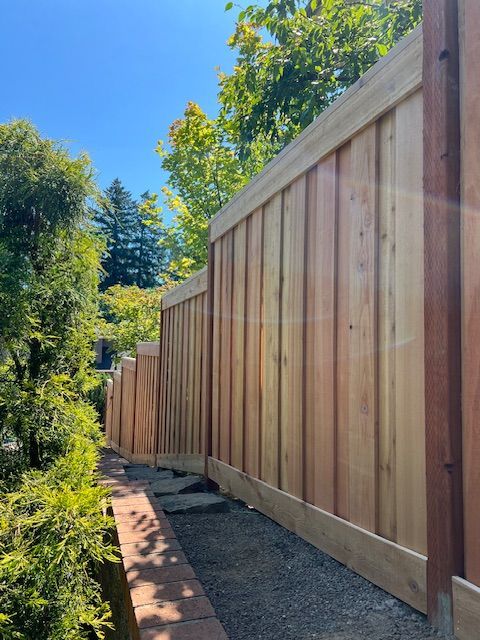 Trees surround a wooden fence on a sunny day