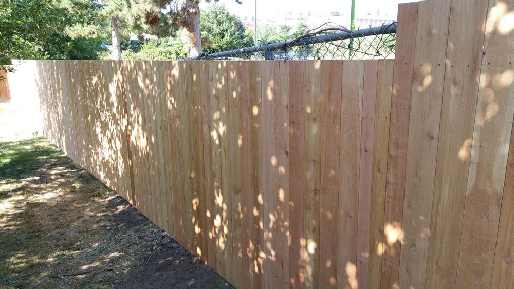 A wooden fence is surrounded by trees and a chain link fence