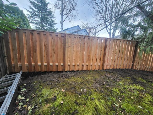 A wooden fence is surrounded by moss and trees in a backyard