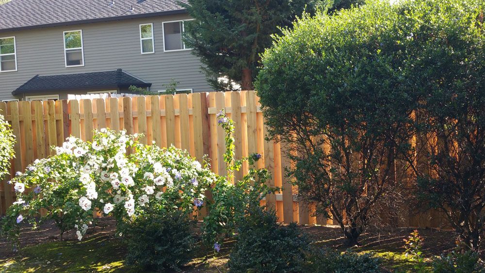 A wooden fence is surrounded by bushes and trees in front of a house