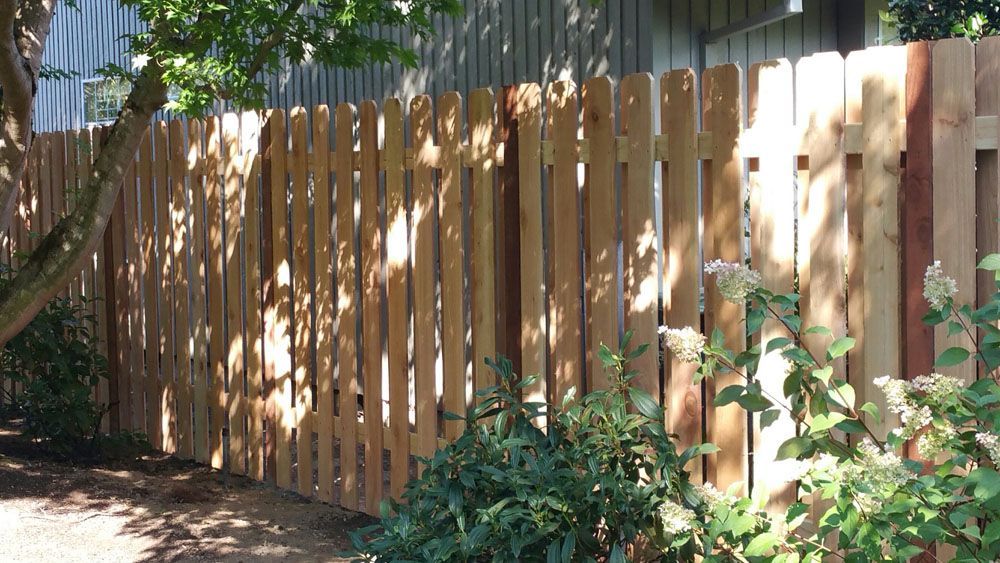 A wooden picket fence is surrounded by trees and bushes