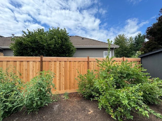 Bushes and trees surround a wooden fence in front of a house