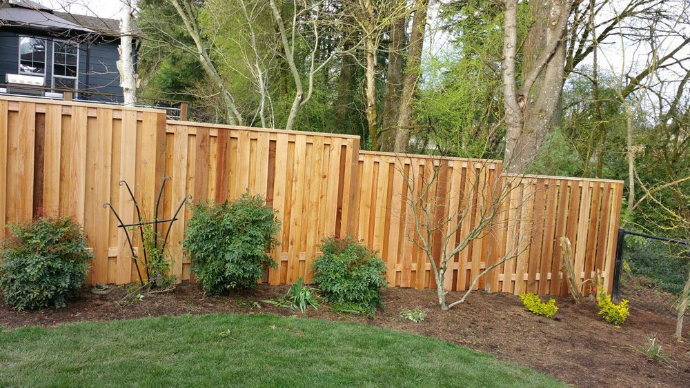 A wooden fence is surrounded by trees and bushes in a backyard