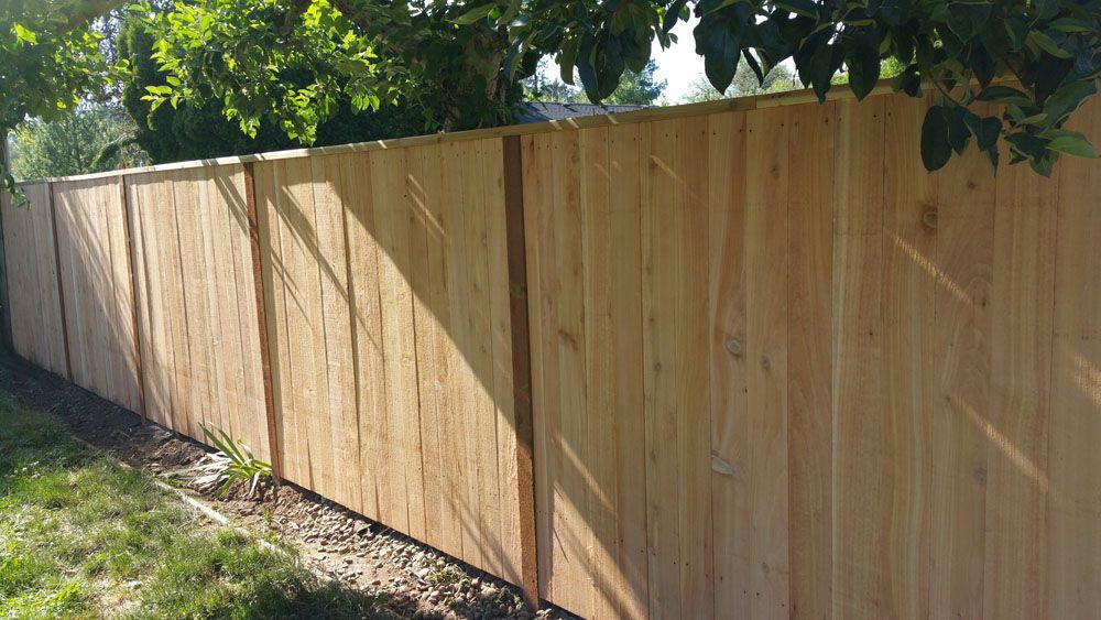 A wooden fence is surrounded by grass and trees in a backyard