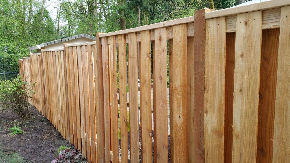 Trees surround a wooden fence in a yard