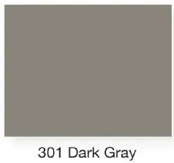 301 Dark Gray