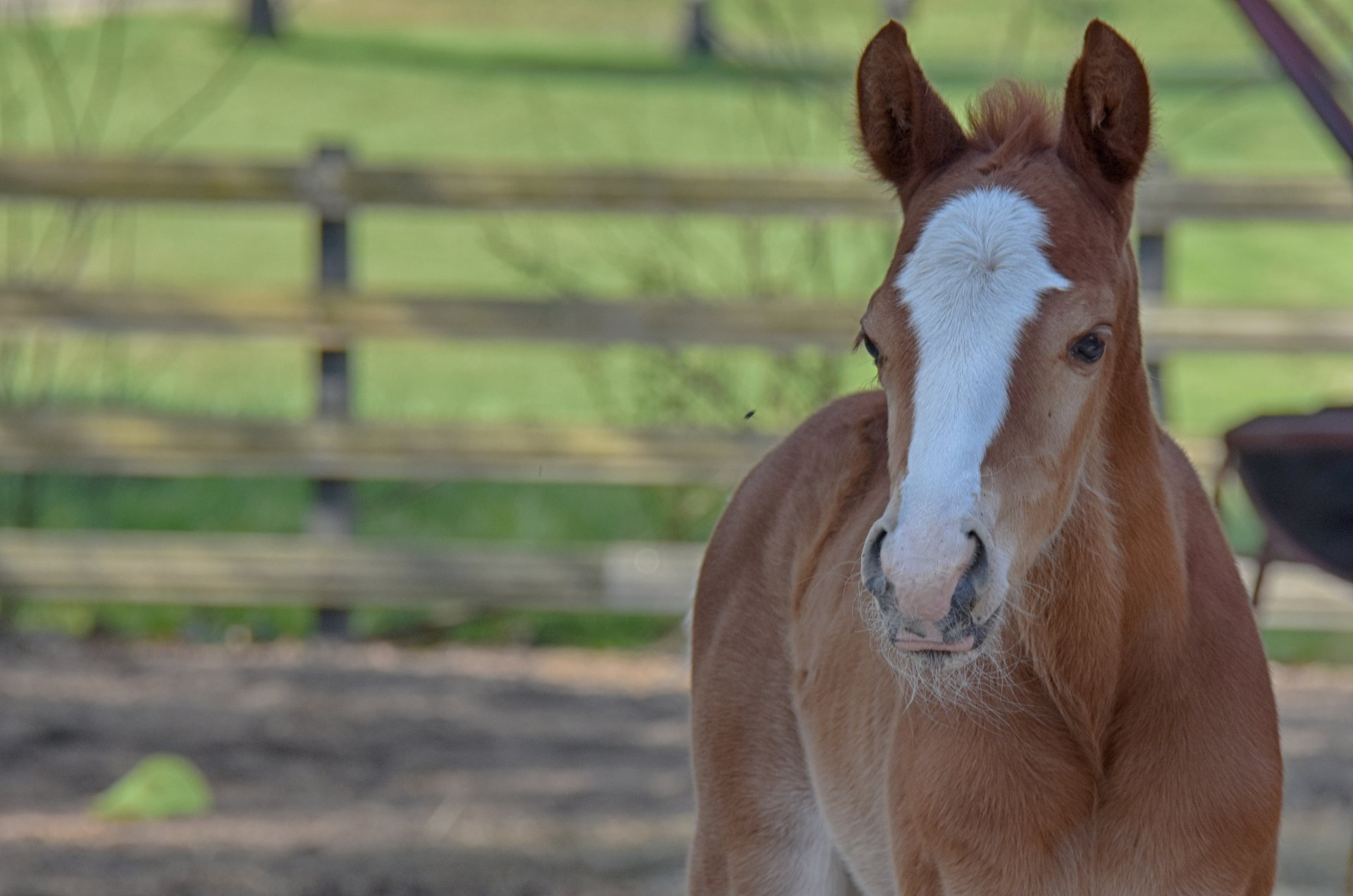 Learn More About Patients We Treat Farmstead Cares