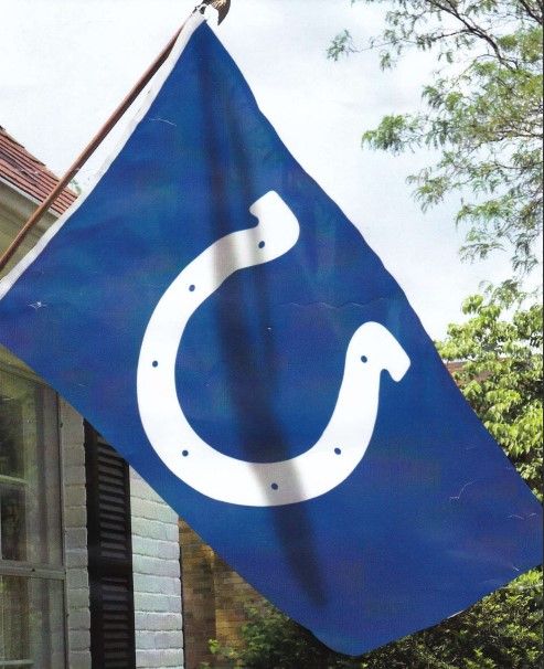A blue flag with a white horseshoe on it