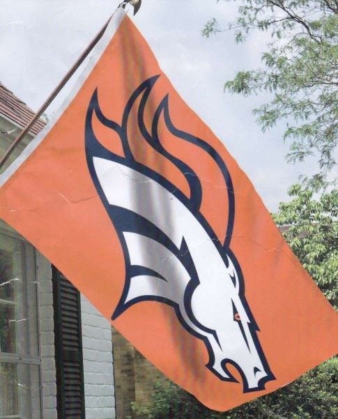 An orange flag with a white horse on it