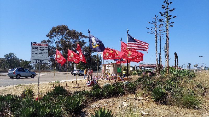 A bunch of flags are flying in front of a building