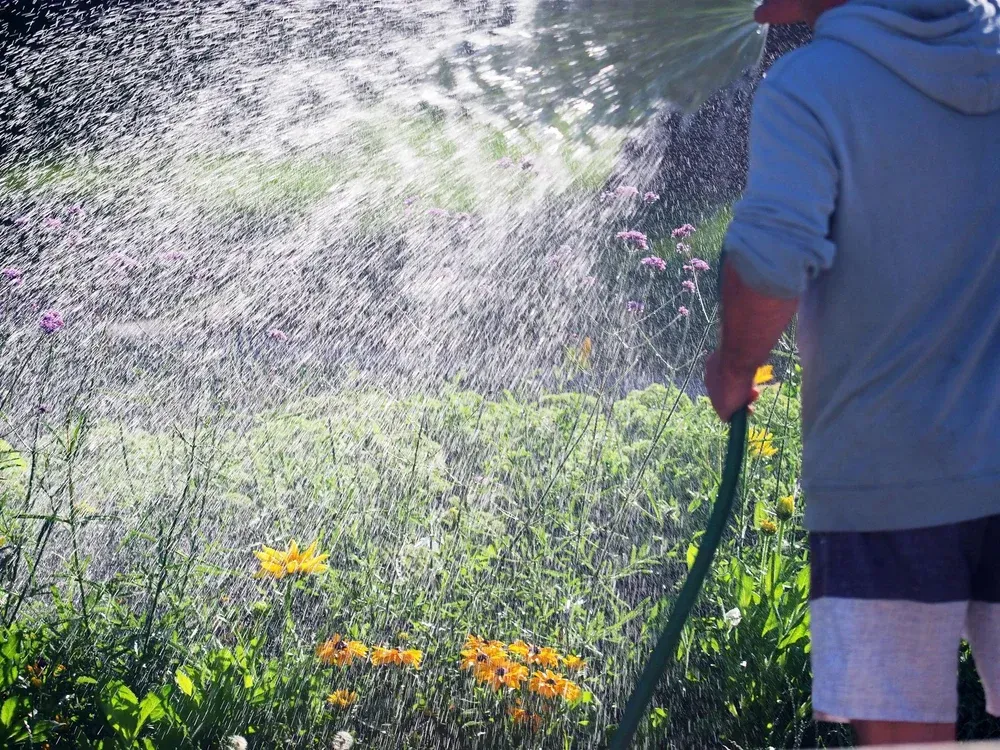 Person watering flowers with a hose in a sunny garden