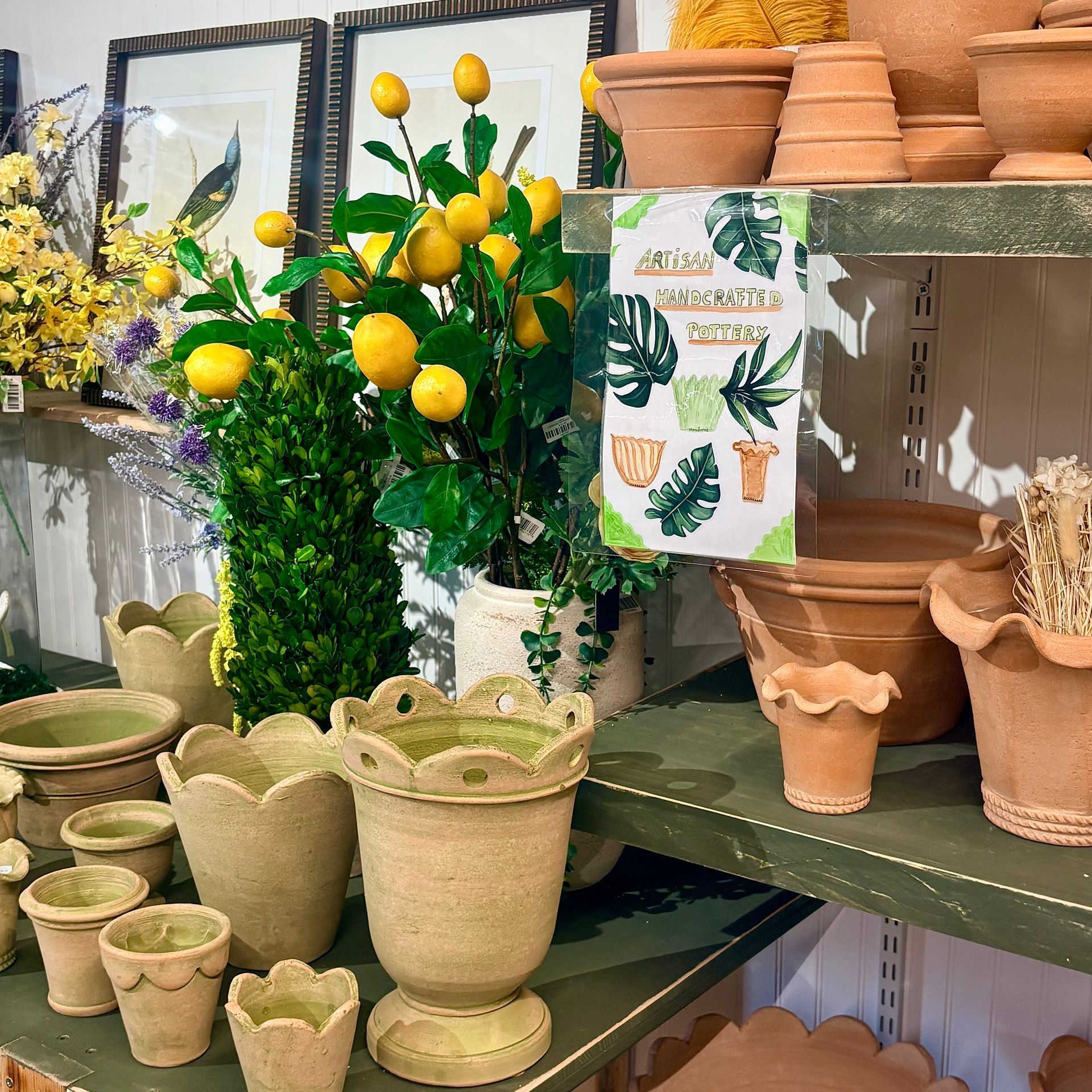 Display of yellow lemon tree, beige terracotta pots, and green ceramic planters on shelves