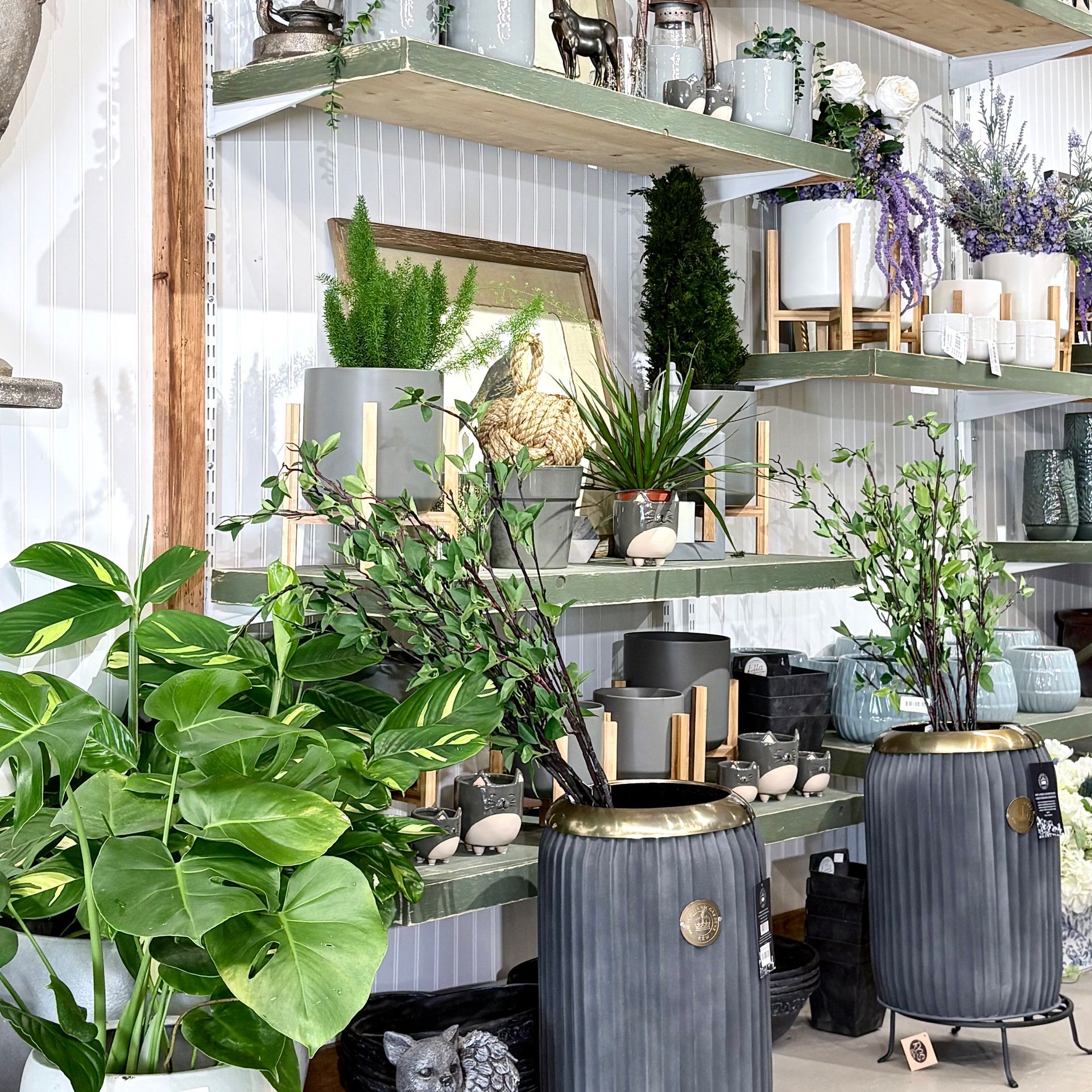 Indoor plant shop shelves with potted greenery, decor, and black planters in a bright display