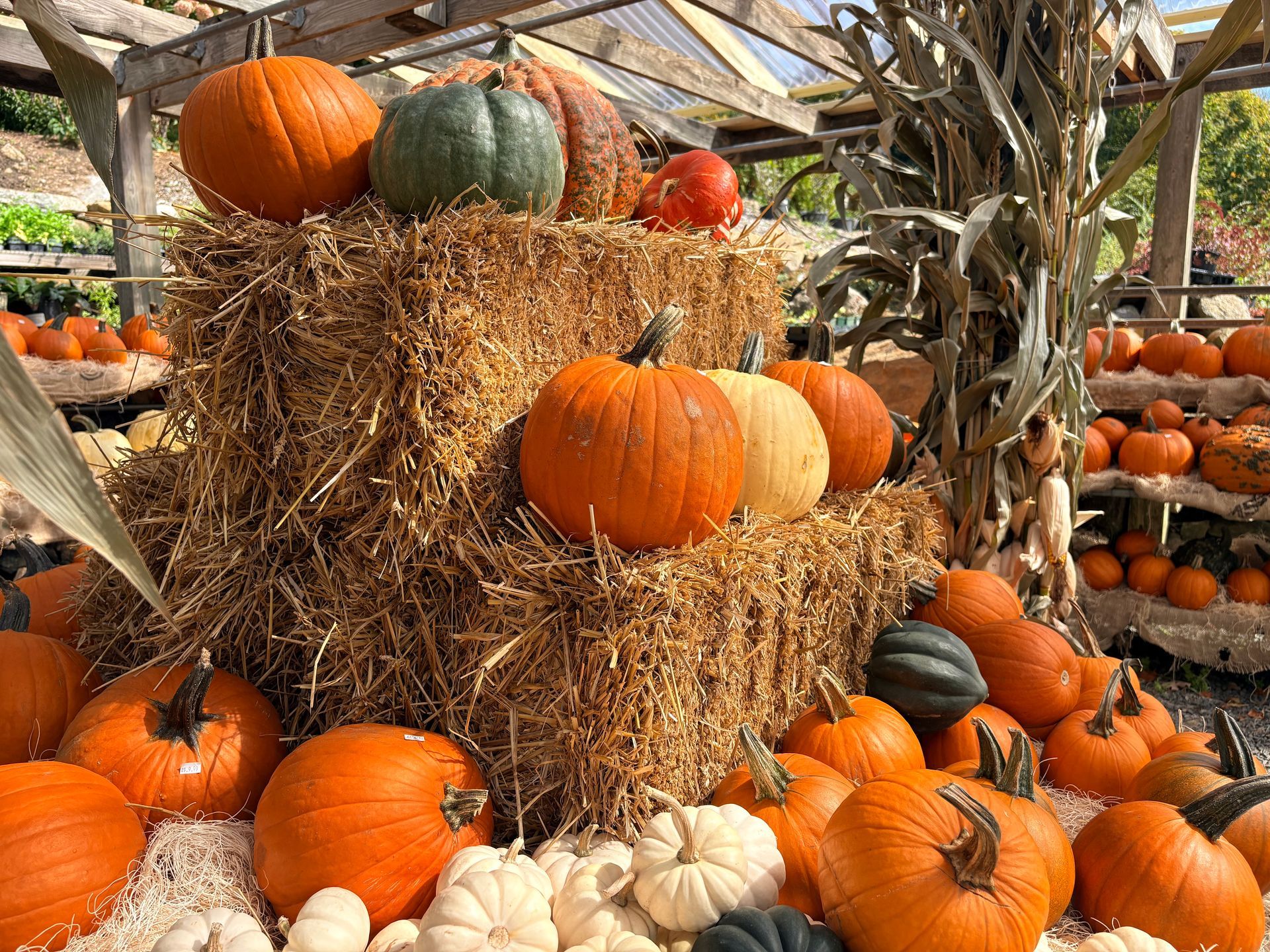 Pumpkins and gourds piled on hay bales at a fall harvest display