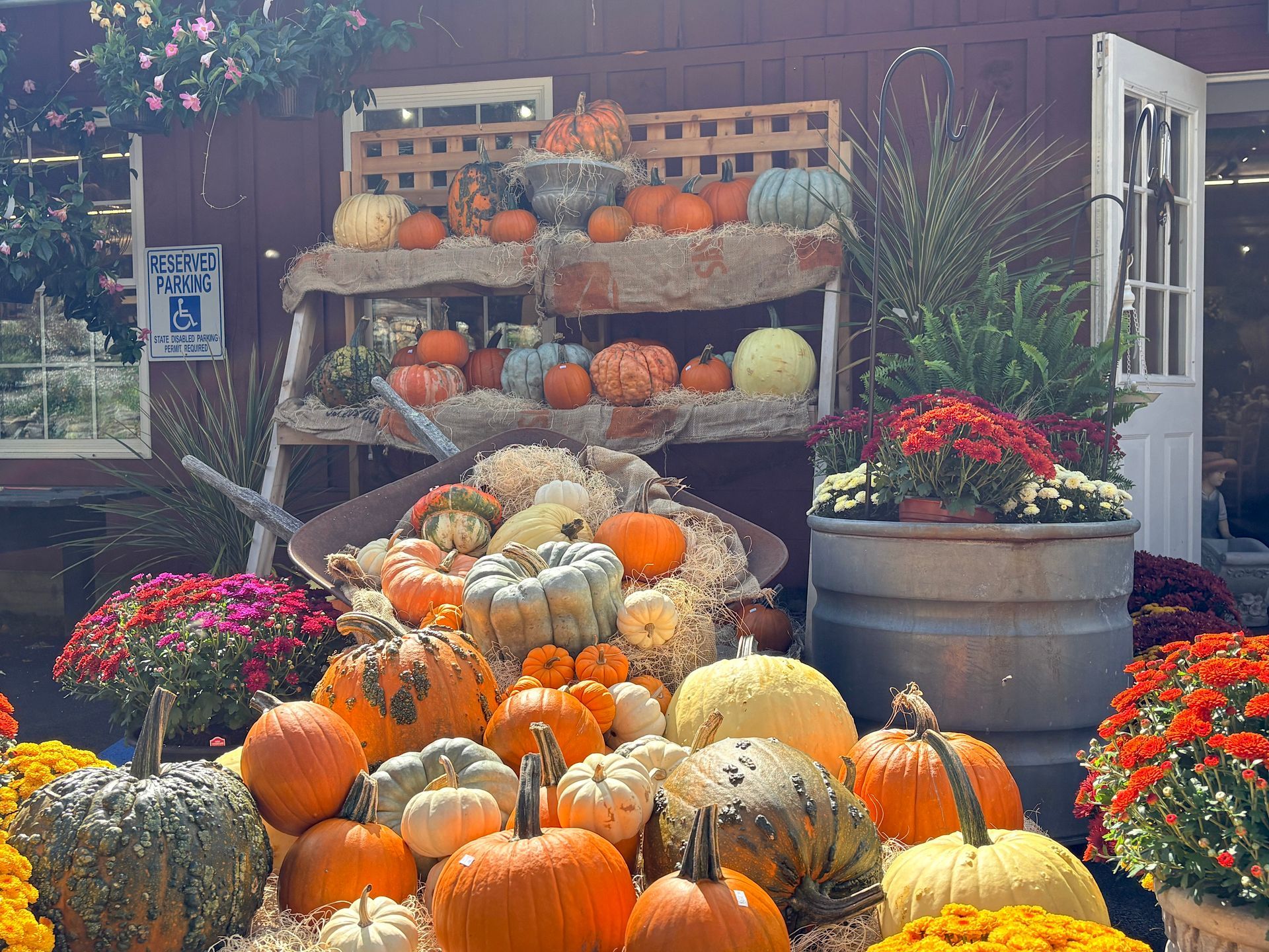 Pumpkins and gourds displayed outdoors beside colorful potted flowers and a white chair