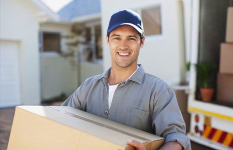 Professional mover carrying box