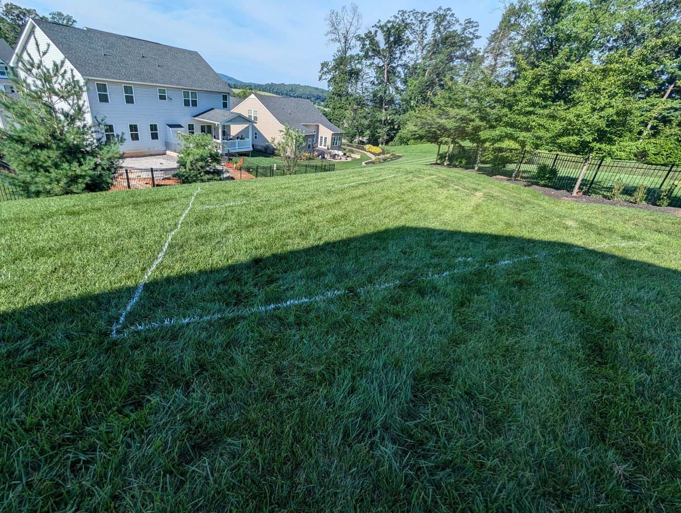 Green lawn with white markings, houses and trees in background under a sunny sky.