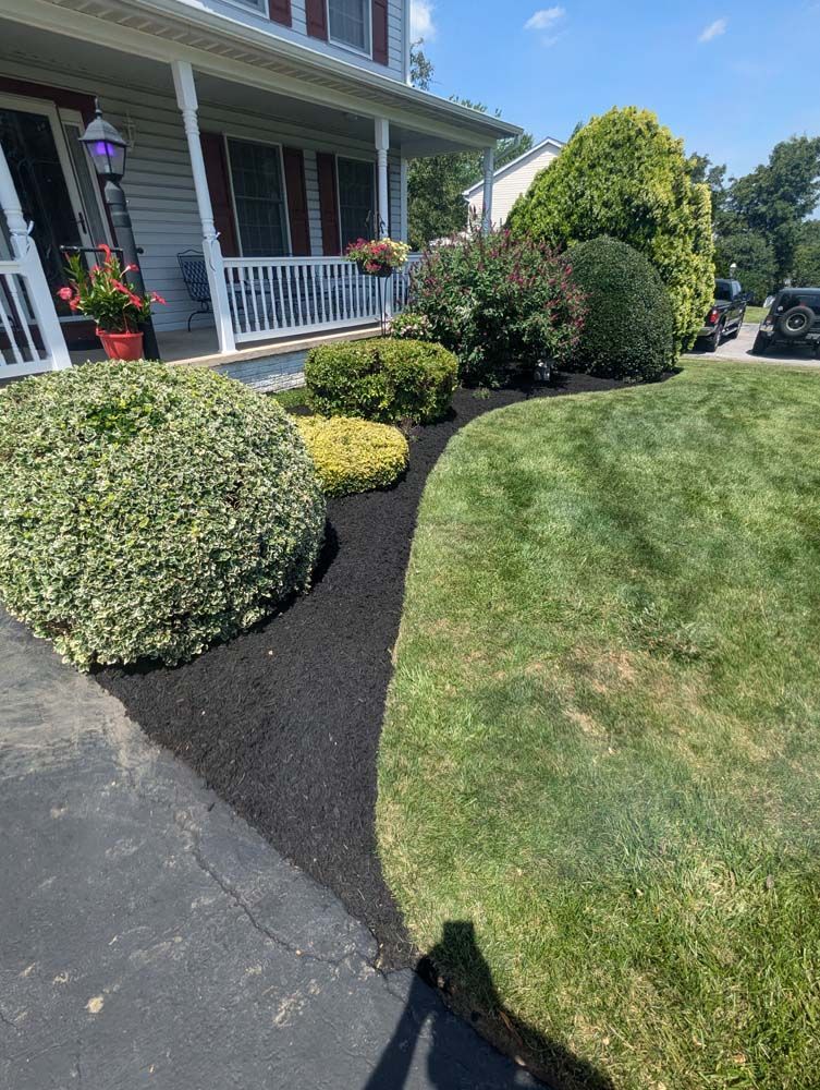 Dark mulch borders landscaping with green bushes and lawn in front of a house.