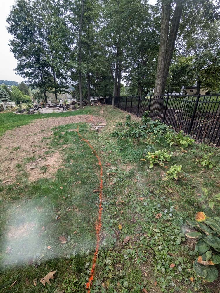 A grassy backyard with a red line marking a path to a fence, trees, and other greenery.