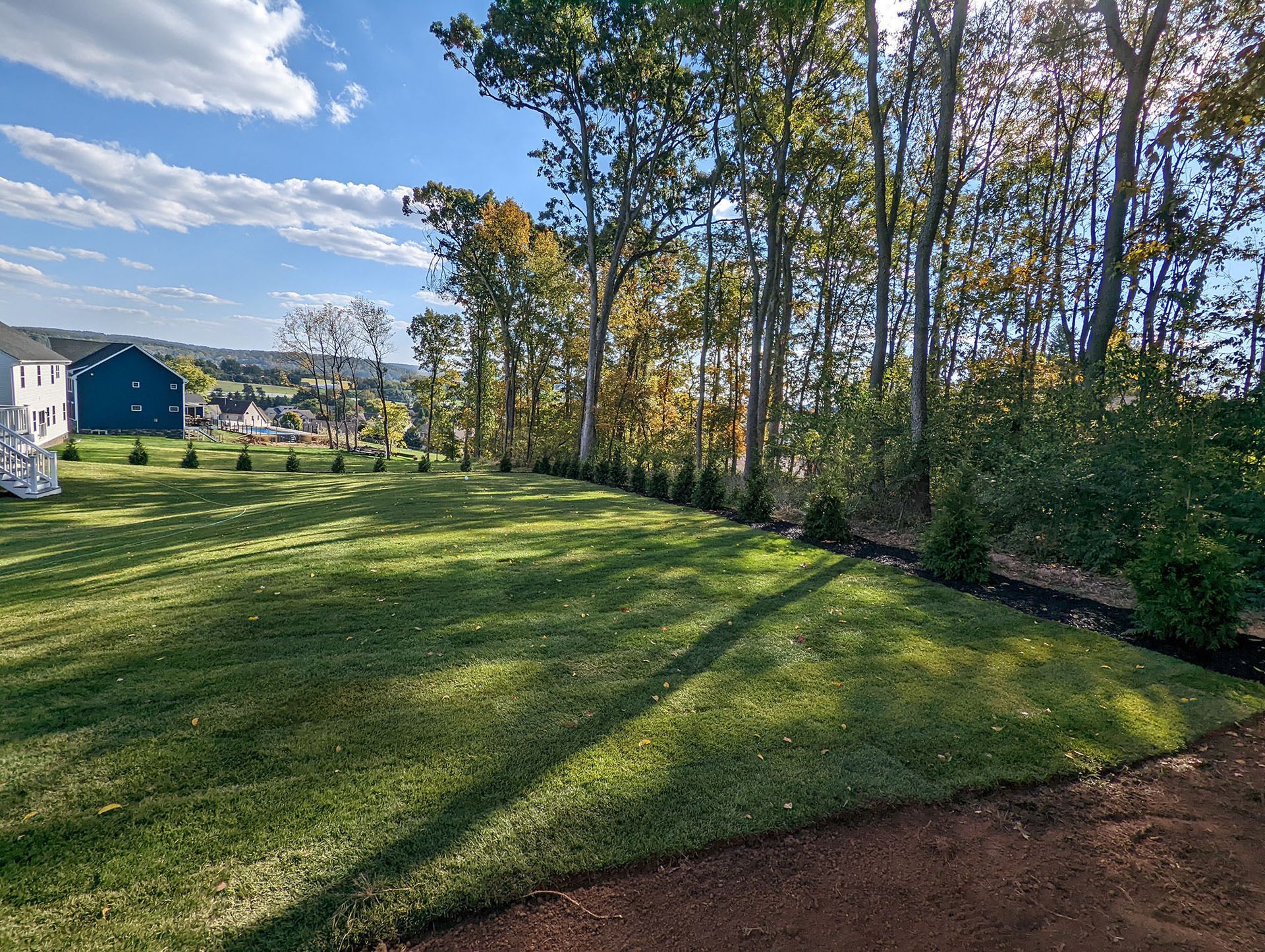 Green lawn, trees, and blue sky. Residential view, partly cloudy day.