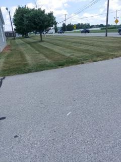 Lawn with alternating cut stripes next to asphalt. Trees, power lines, and a road are in the background.