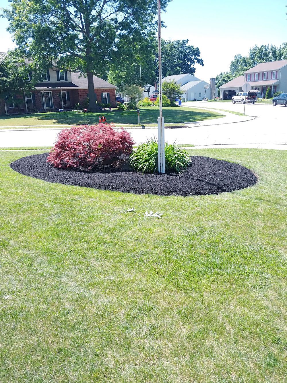 Circular garden bed with red and green plants, surrounded by black mulch.