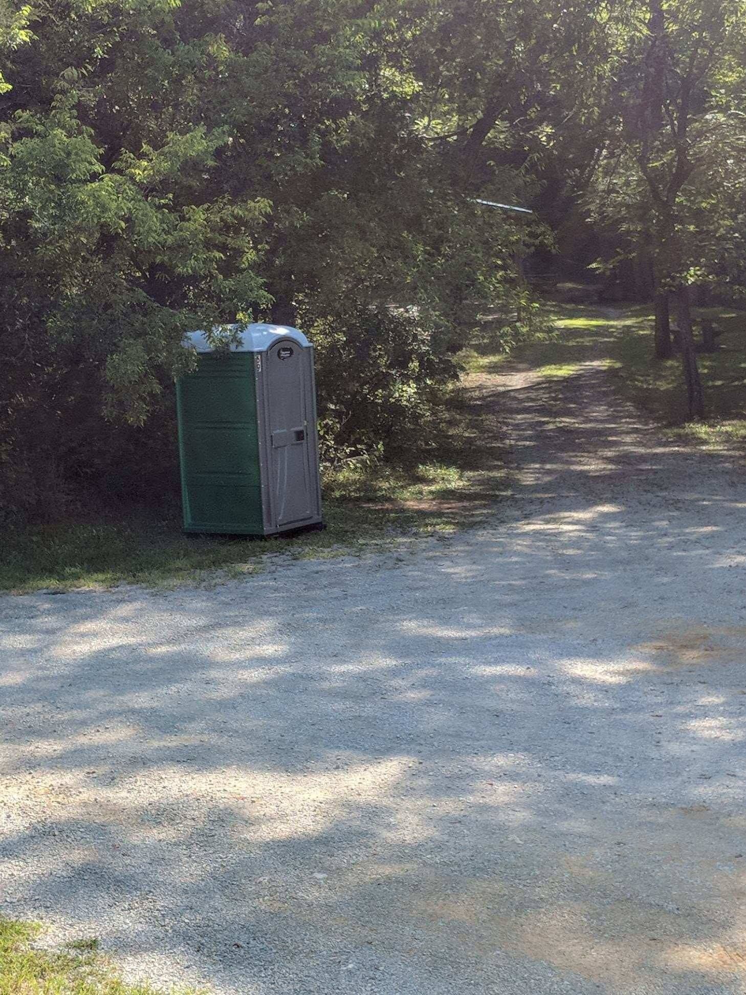 Green trash bin beside a dirt path in a sunny wooded park
