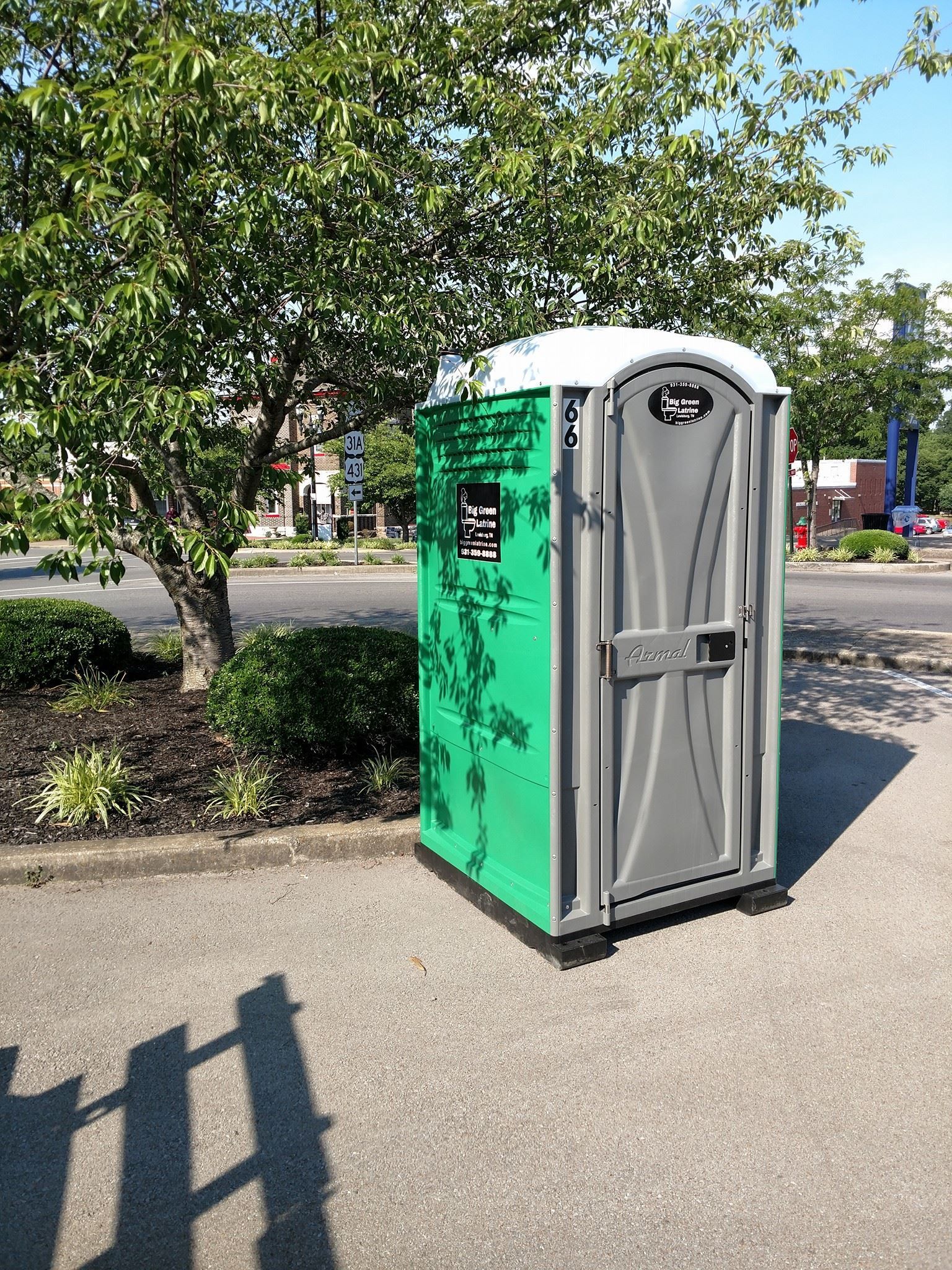 Green portable toilet beside a tree in a sunny parking lot
