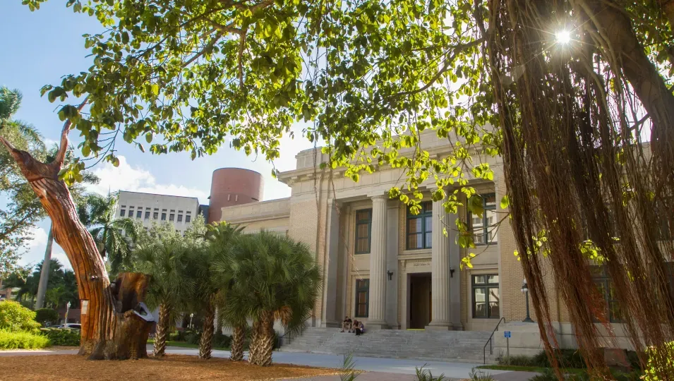 Sunlit historic building with columns and palm trees, viewed through leafy branches