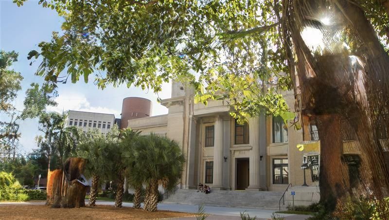 Sunny view of a historic building entrance framed by trees and palm trees, with a parked car nearby