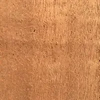 Close-up of rough, textured, light brown surface with subtle vertical striations and tiny dark specks.