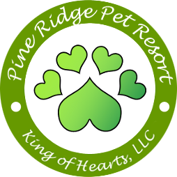 King of Hearts, LLC Logo