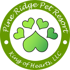 King of Hearts, LLC Logo