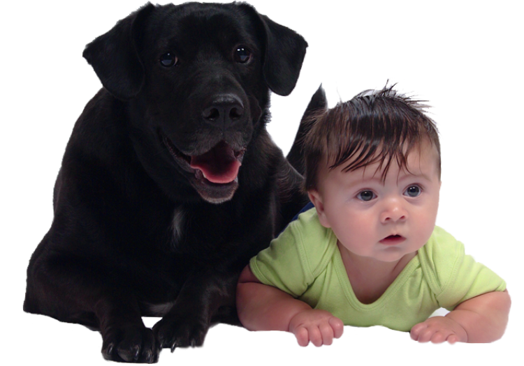 Cute-dog-and-baby