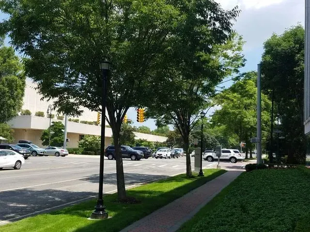 A paved road with cars, surrounded by green trees, a sidewalk, and a building under a bright blue sky.