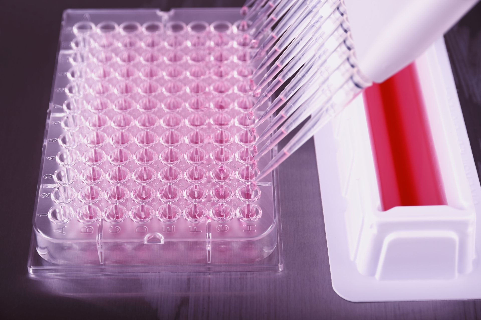 dna testing centers